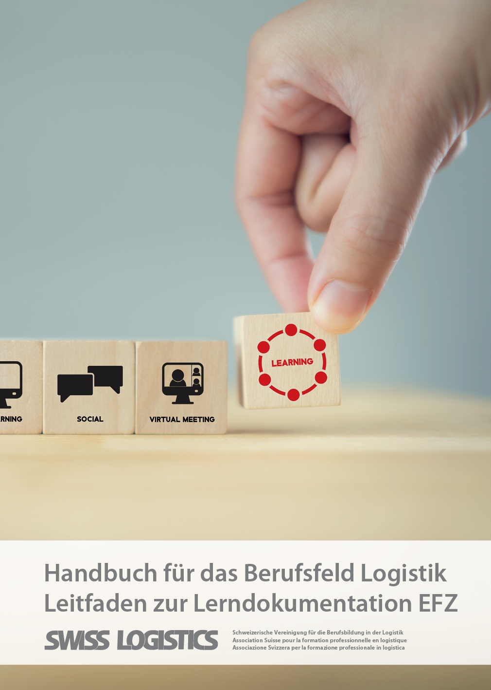 Handbuch f&uuml;r das Berufsfeld Logistik Leitfaden zur Lerndokumentation EFZ